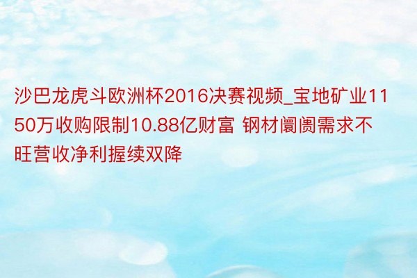 沙巴龙虎斗欧洲杯2016决赛视频_宝地矿业1150万收购限制10.88亿财富 钢材阛阓需求不旺营收净利握续双降