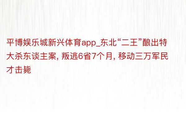 平博娱乐城新兴体育app_东北“二王”酿出特大杀东谈主案, 叛逃6省7个月, 移动三万军民才击毙