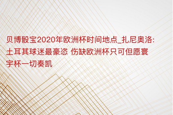 贝博骰宝2020年欧洲杯时间地点_扎尼奥洛: 土耳其球迷最豪恣 伤缺欧洲杯只可但愿寰宇杯一切奏凯