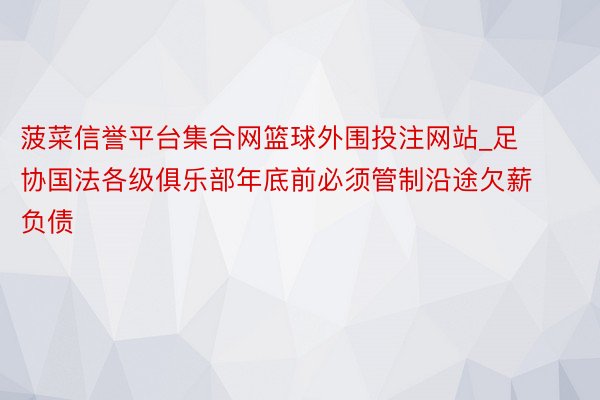 菠菜信誉平台集合网篮球外围投注网站_足协国法各级俱乐部年底前必须管制沿途欠薪负债