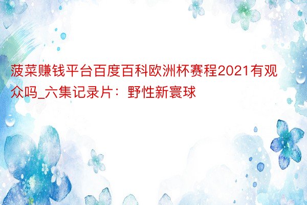 菠菜赚钱平台百度百科欧洲杯赛程2021有观众吗_六集记录片：野性新寰球